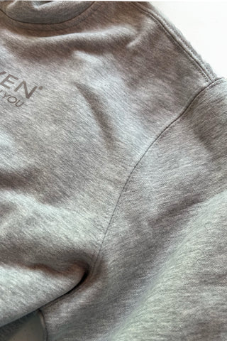 SD SPIRITDRIVEN It's In You®  Hoodie Gray